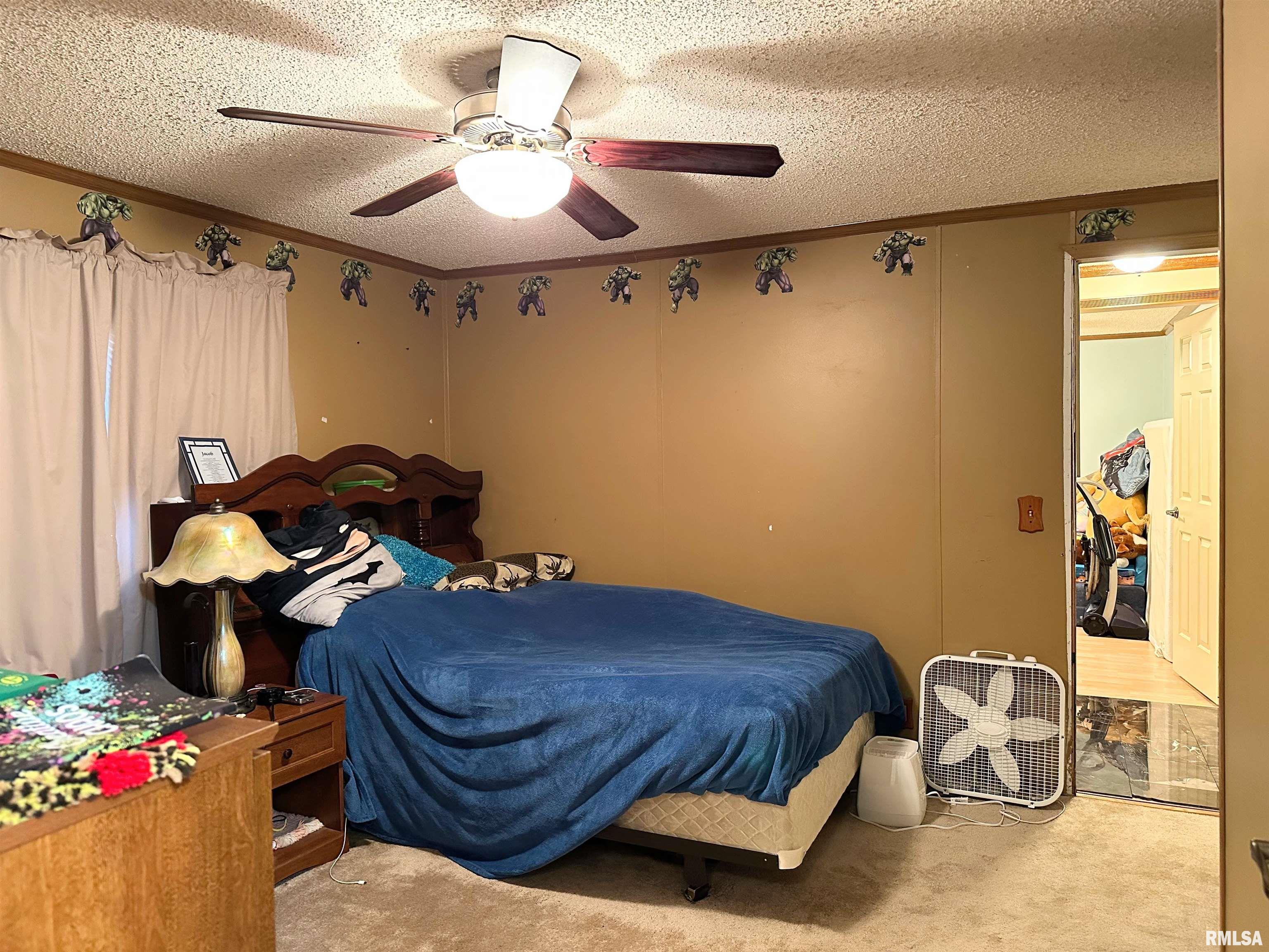 14958 Sulphur Springs Road Creal Springs, IL 62922 - Photo 18 of 54 Gallery Image 18