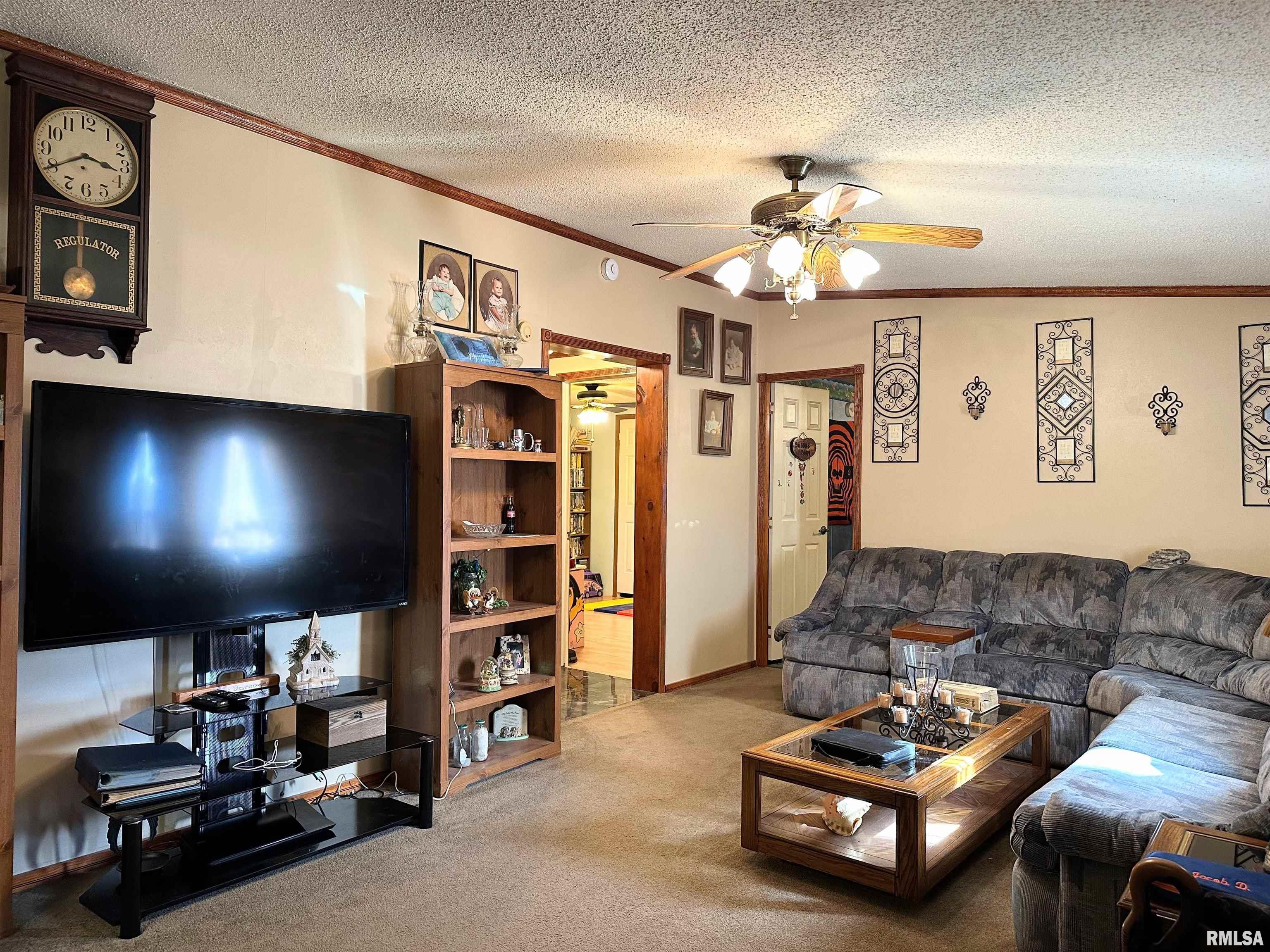 14958 Sulphur Springs Road Creal Springs, IL 62922 - Photo 4 of 54 Gallery Image 4