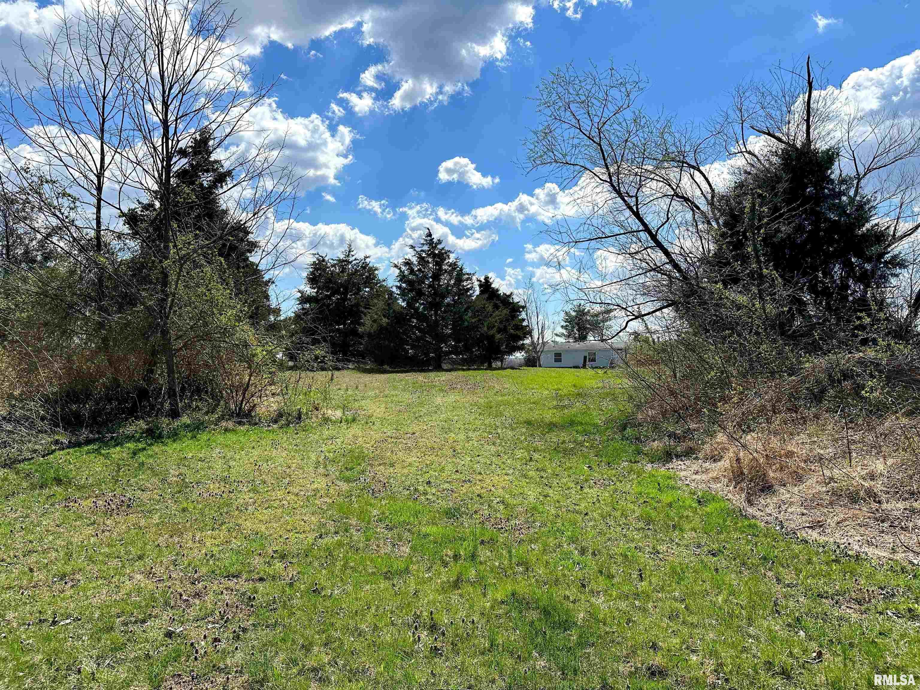 14958 Sulphur Springs Road Creal Springs, IL 62922 - Photo 50 of 54 Gallery Image 50