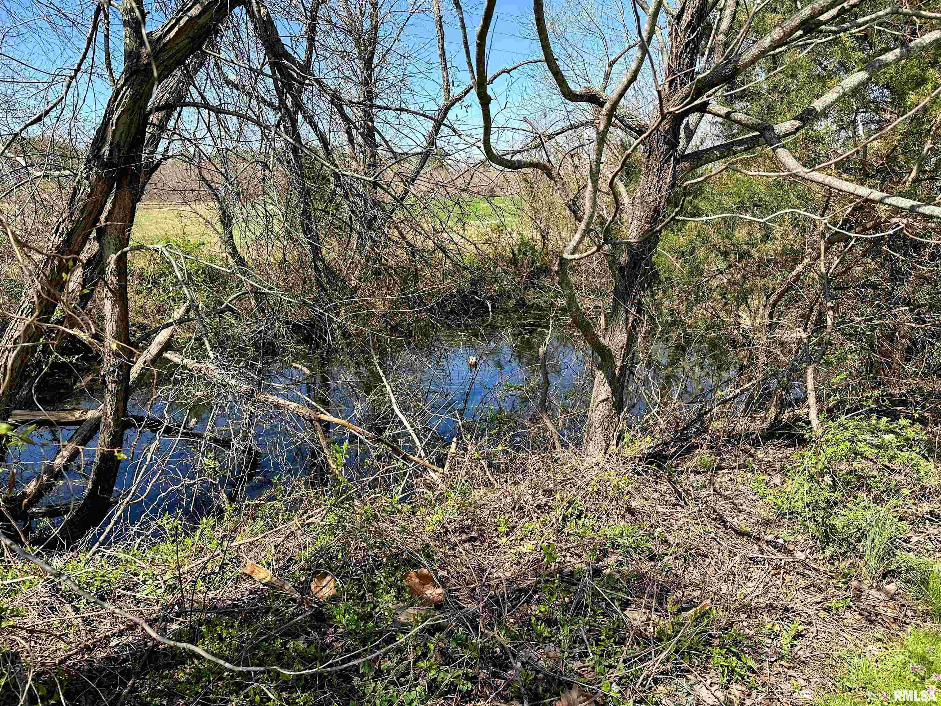 14958 Sulphur Springs Road Creal Springs, IL 62922 - Photo 51 of 54 Gallery Image 51