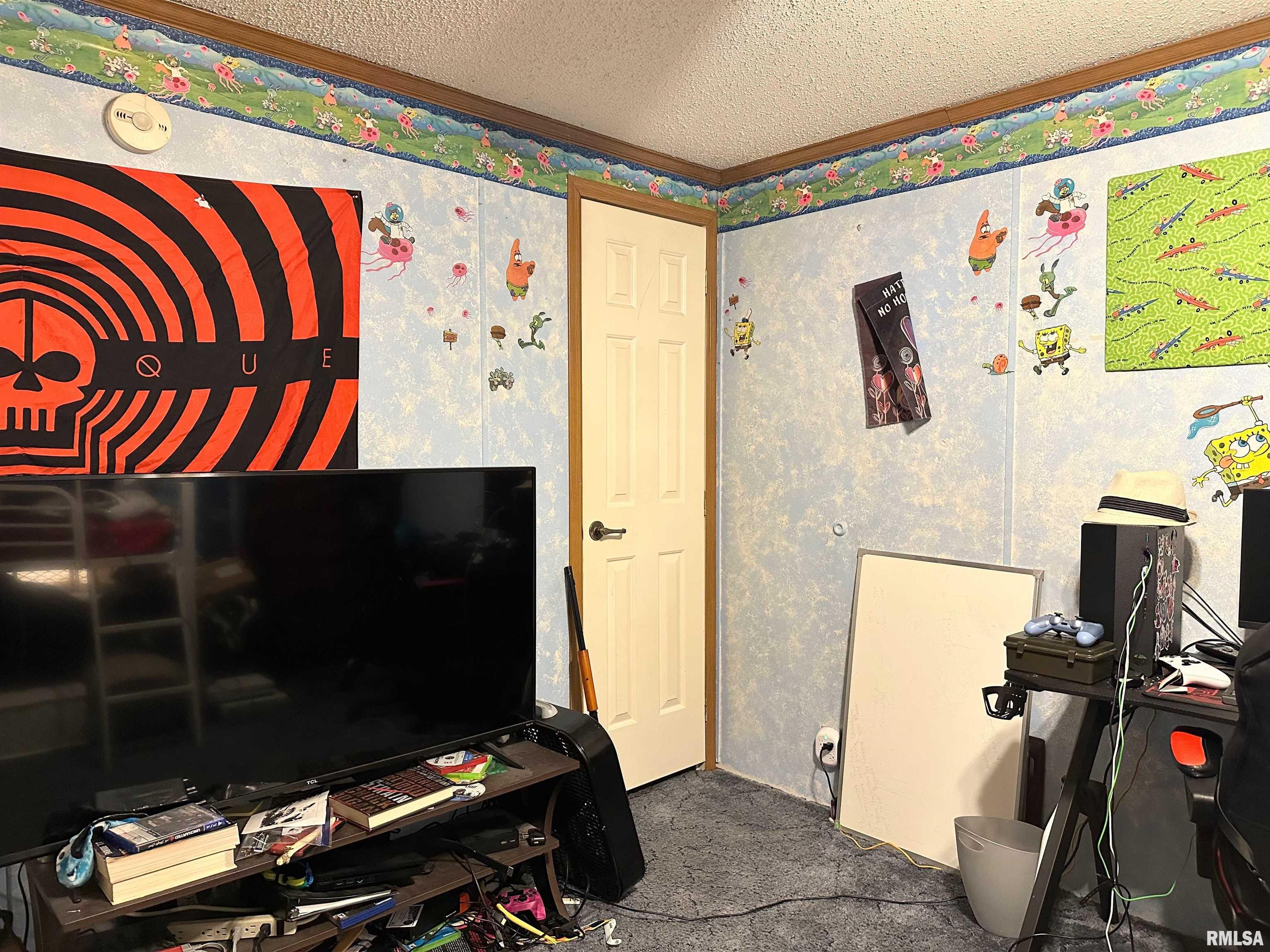 14958 Sulphur Springs Road Creal Springs, IL 62922 - Photo 8 of 54 Gallery Image 8