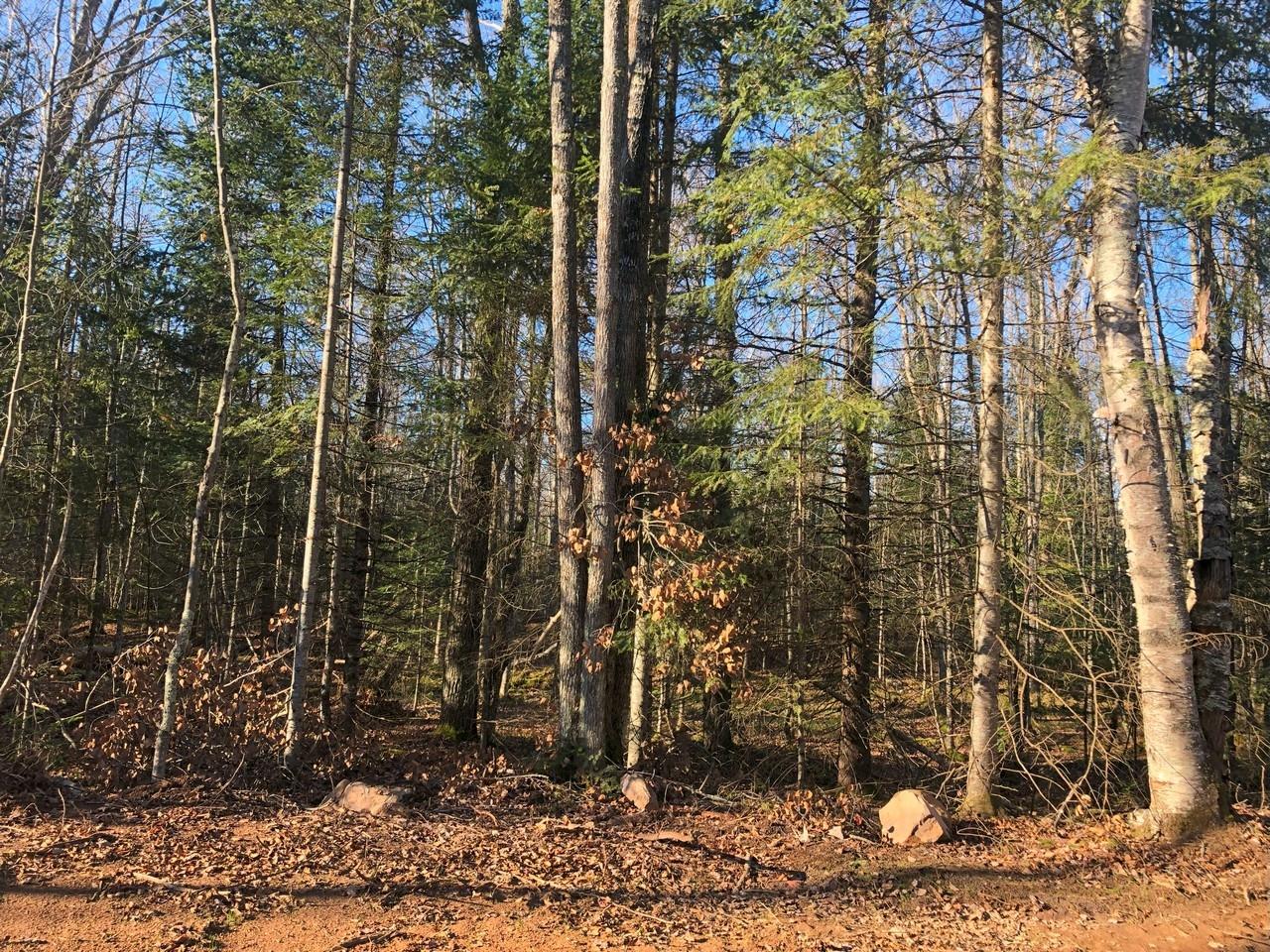 On East Bay Road, Unit LOT 3 Presque Isle, WI 54557 - Photo 4 of 22 Gallery Image 4