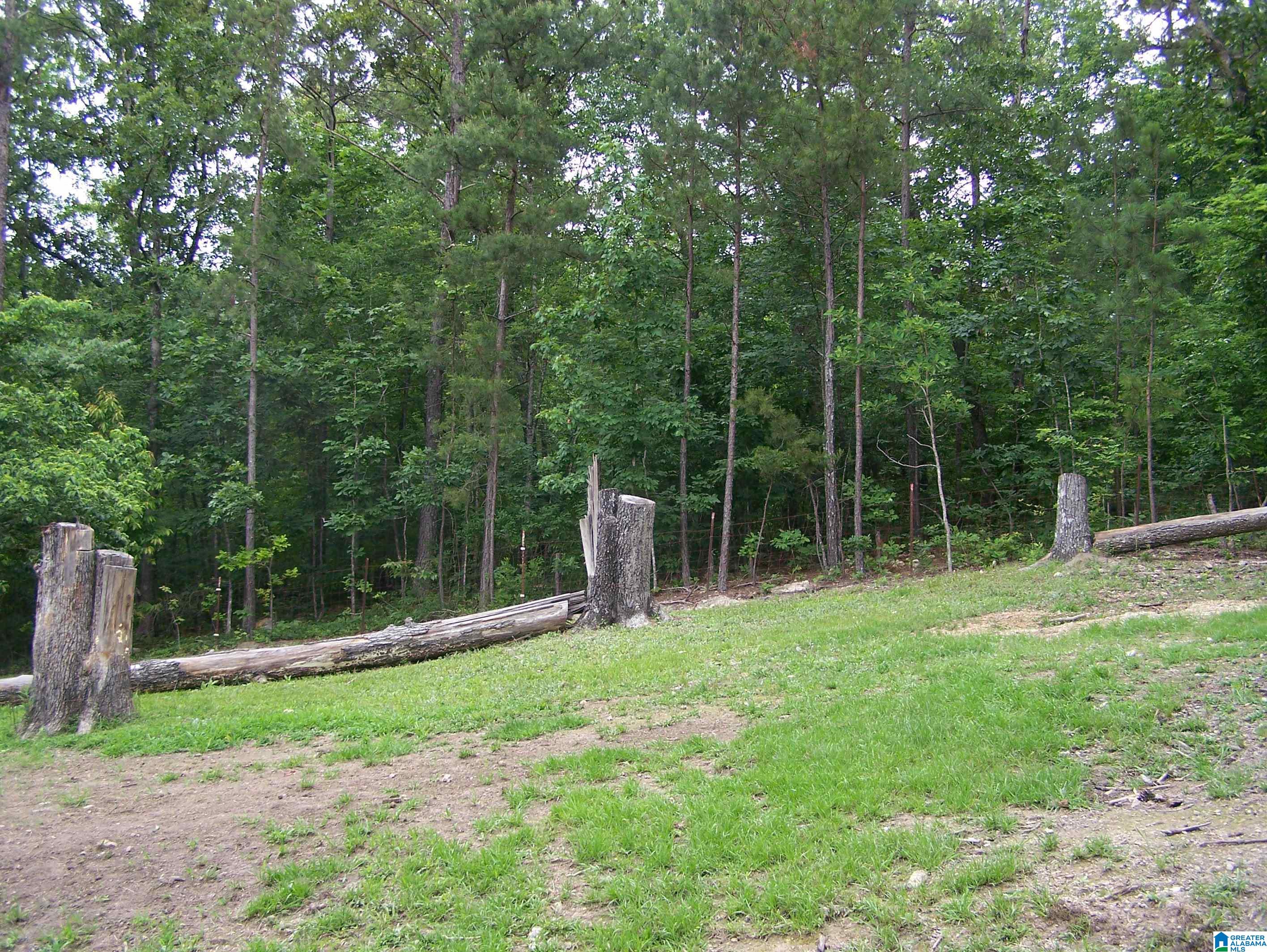 1961 Williams Road Piedmont, AL 36272 - Photo 37 of 40