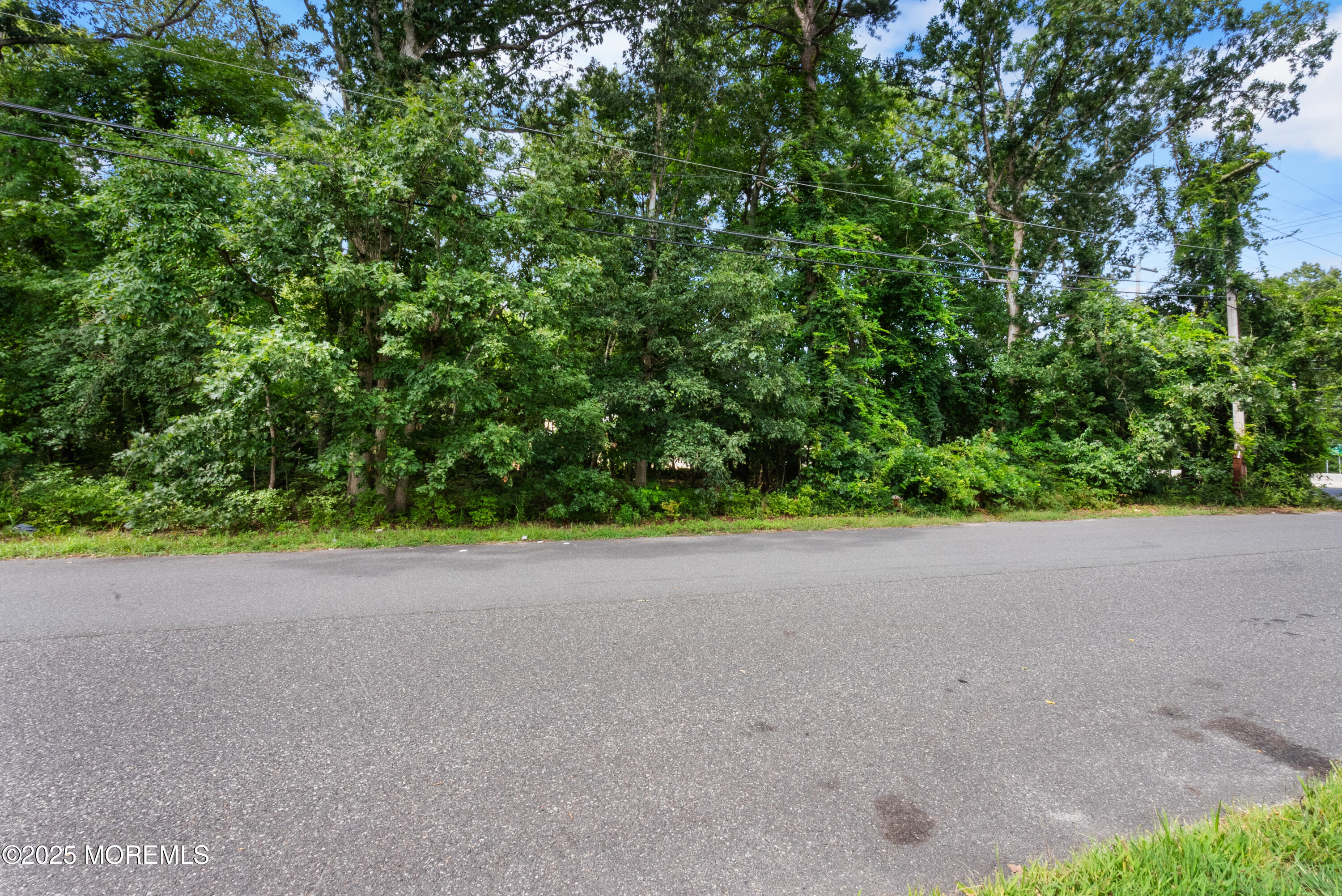 0 Route 9 Howell Nj 07731 Howell, NJ 07731 - Photo 6 of 13 a view of a yard with a tree