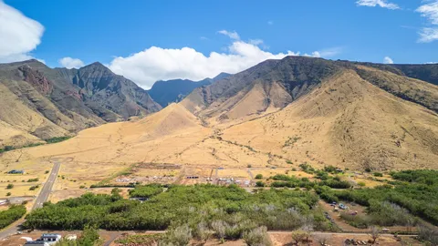 a view of a dry yard with mountains in the background