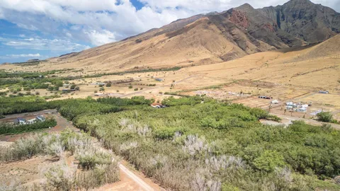 a view of a dry yard