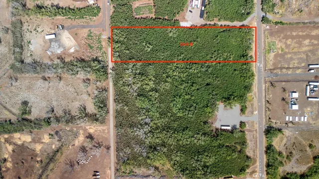 a view of a garden with a building