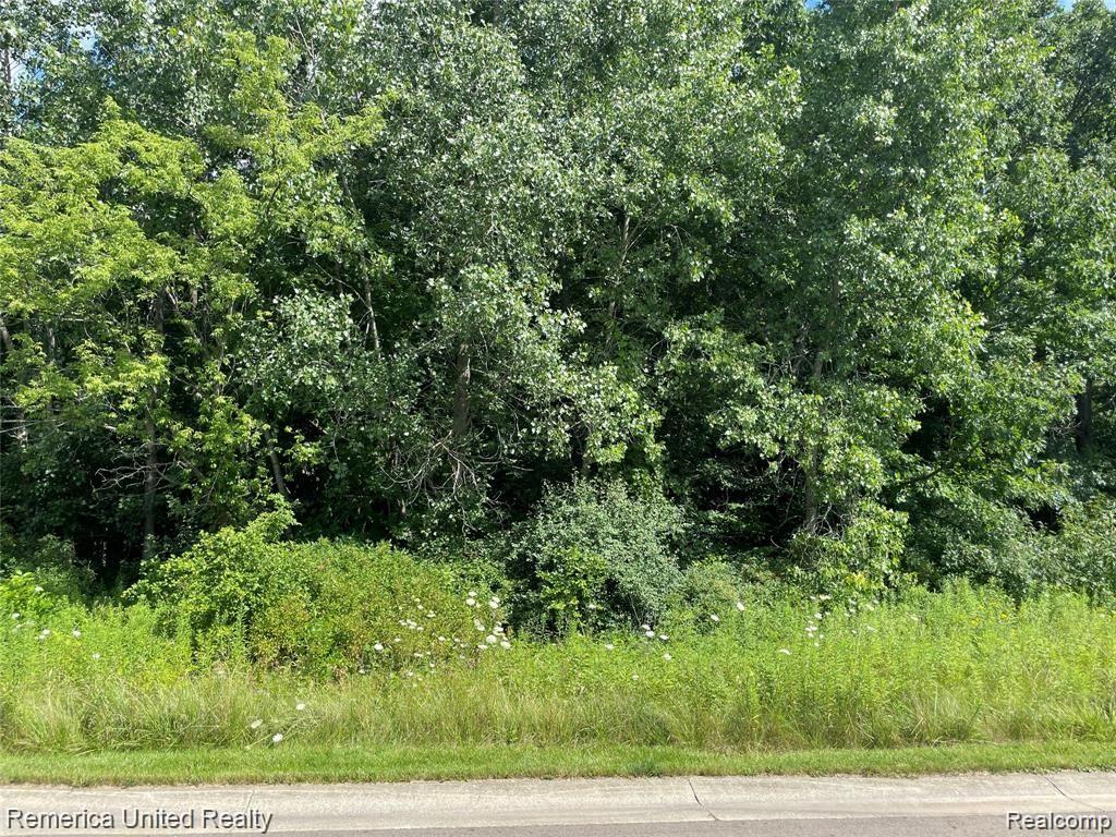 Vl Spring Grove Brighton, MI 48114 - Photo 2 of 2 Gallery Image 2