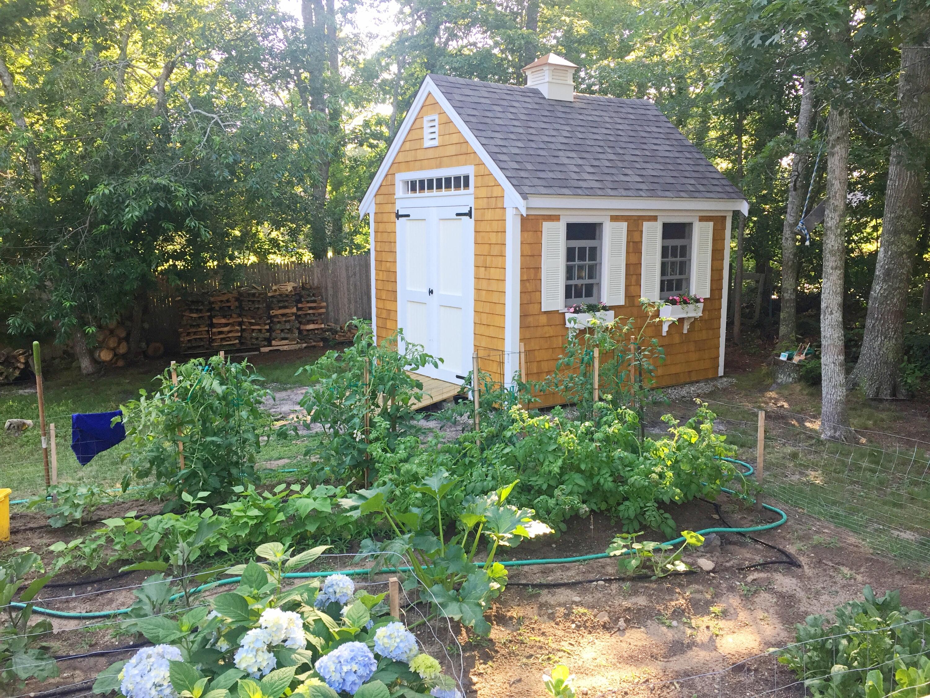 337 Jonathans Way Brewster, MA 02631 - Photo 49 of 61 IMG_2921 ()