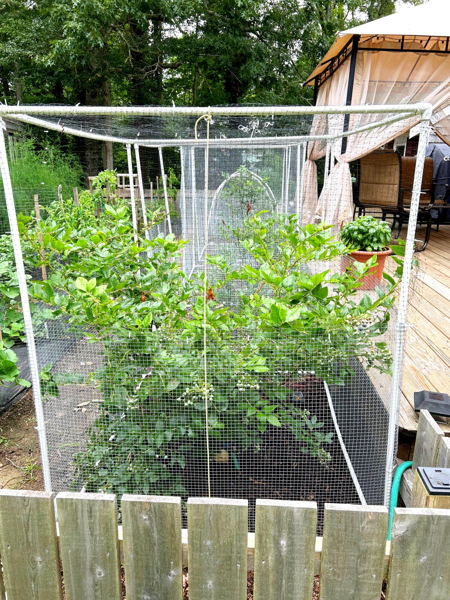 337 Jonathans Way Brewster, MA 02631 - Photo 52 of 61 71138500260__3A137651-C537-493A-85D2-602