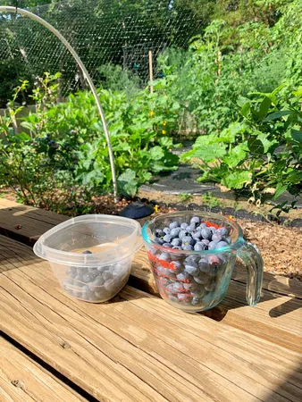 $629,000 | 337 Jonathans Way, Brewster, MA 02631