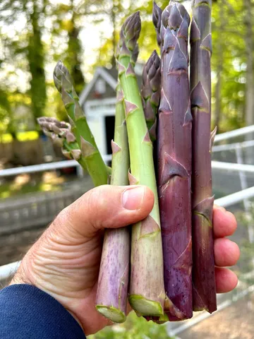 $650,000 | 337 Jonathans Way, Brewster, MA 02631