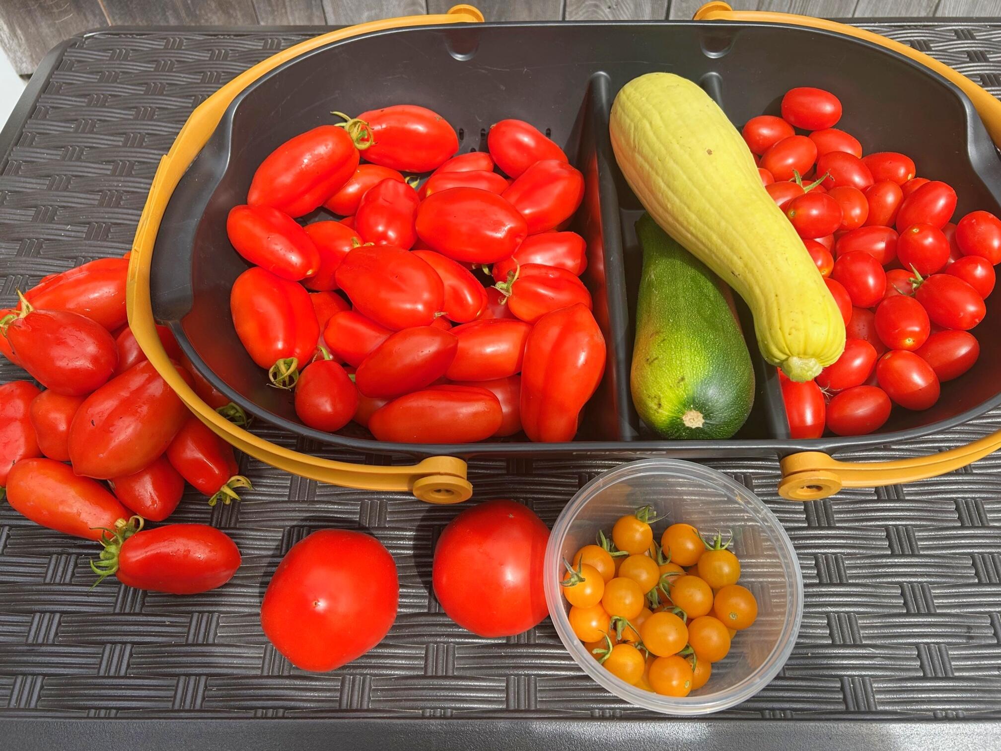 337 Jonathans Way Brewster, MA 02631 - Photo 57 of 61 IMG_0240 ()