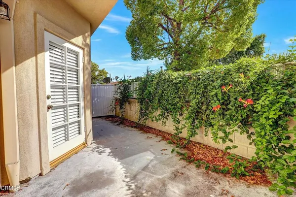 a view of a yard with plants and a bench