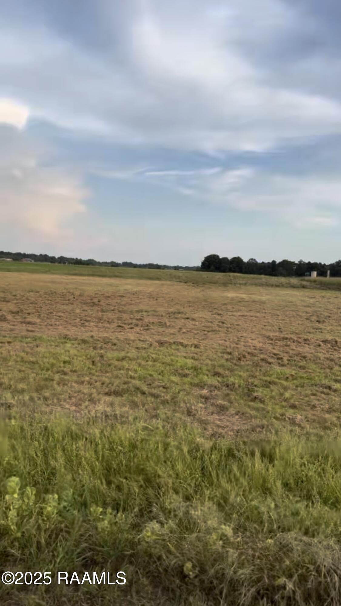 223 Big Leaf Road Iota, LA 70543 - Photo 2 of 5 IMG_4559