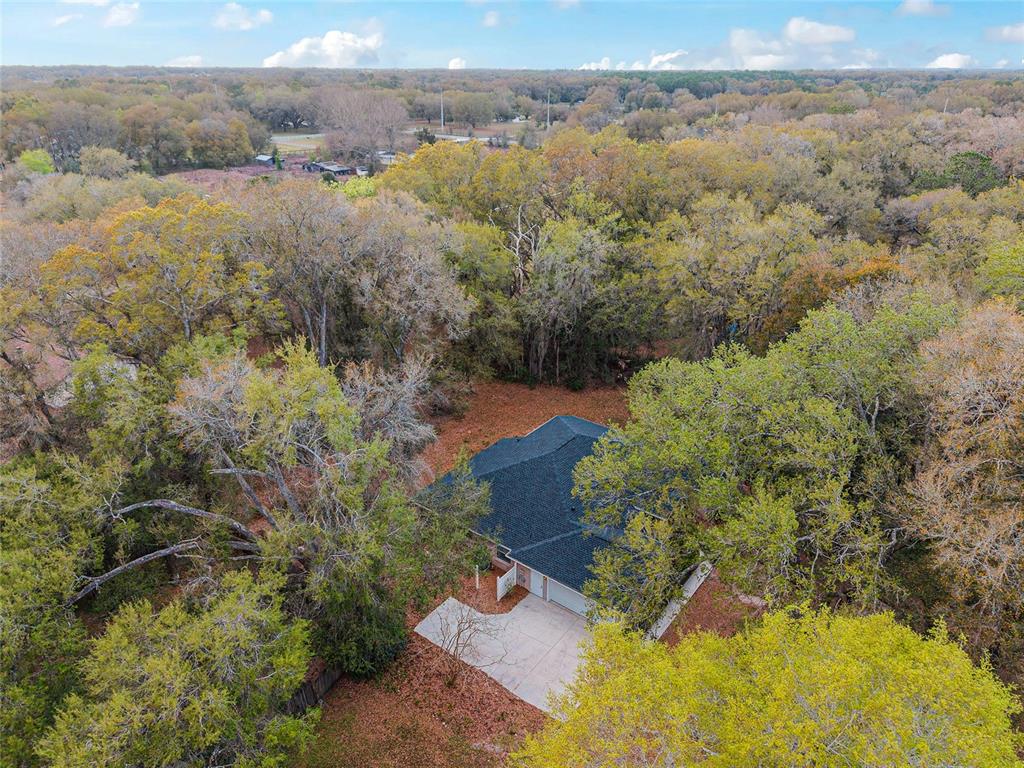 14650 Southeast 1st Av Road Summerfield, FL 34491 - Photo 79 of 95