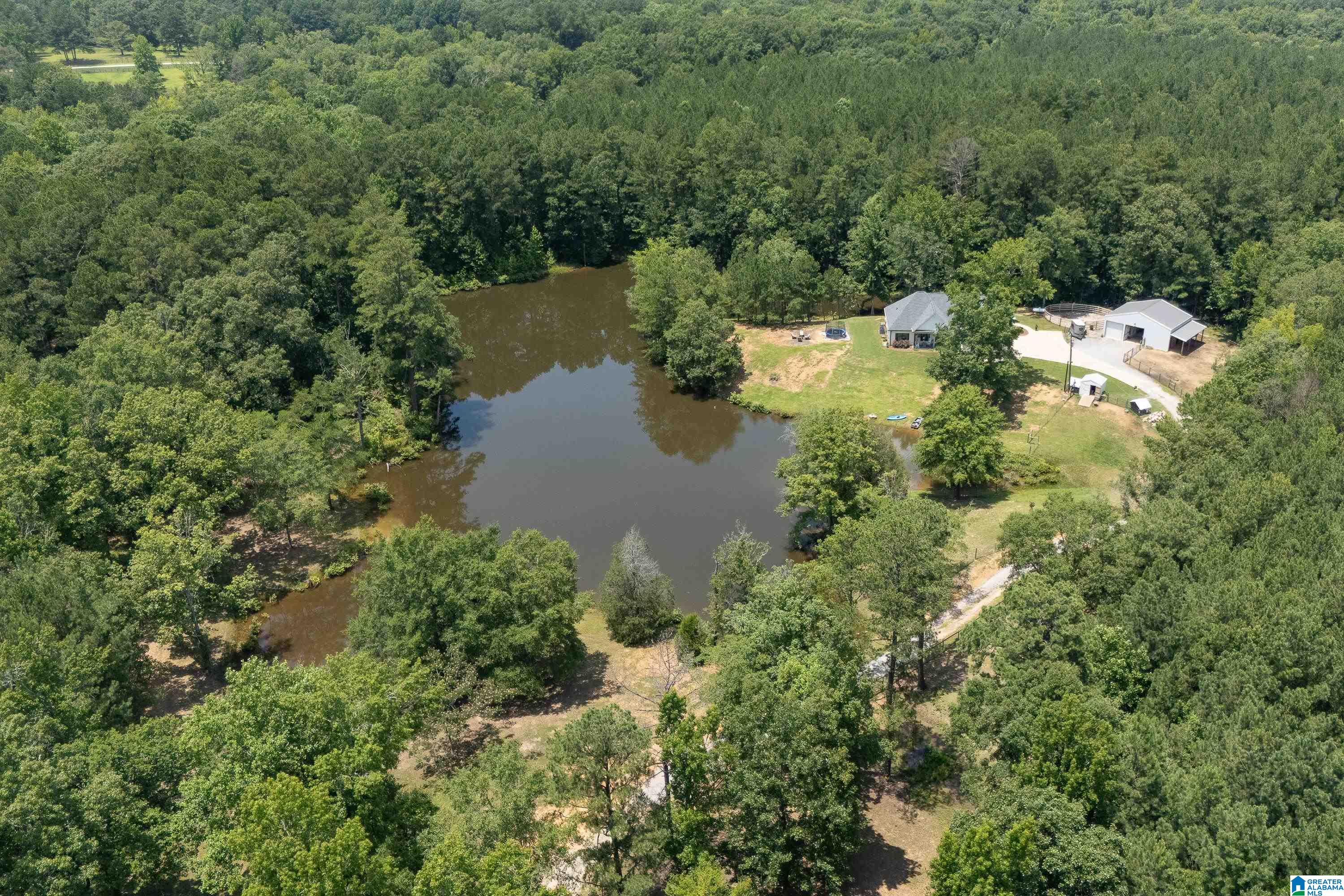 340 Lake Cottage Road Sterrett, AL 35147 - Photo 60 of 83