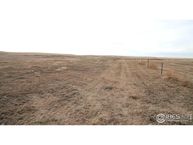 a open area with a yard