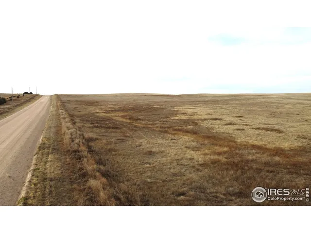 a black and white photo of a city