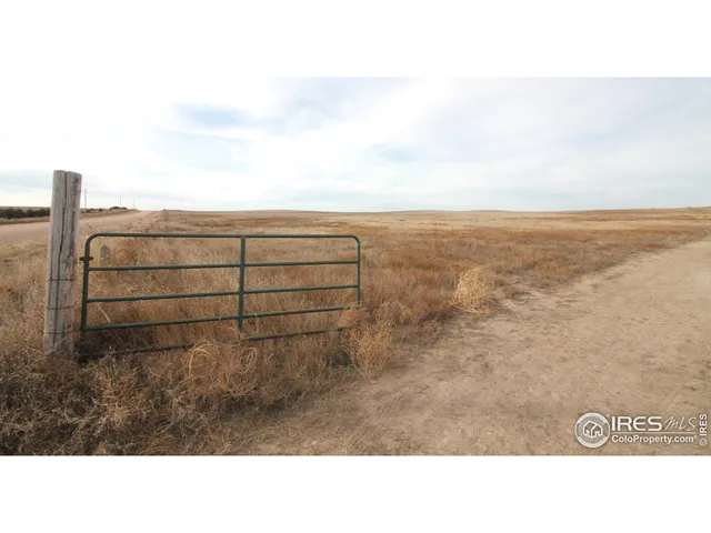a black and white photo of a field