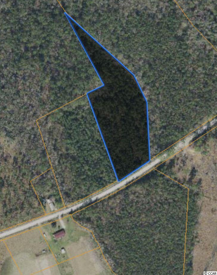 3 Tom Dorman Road Longs, SC 29568 - Photo 1 of 3 Gallery Image 1