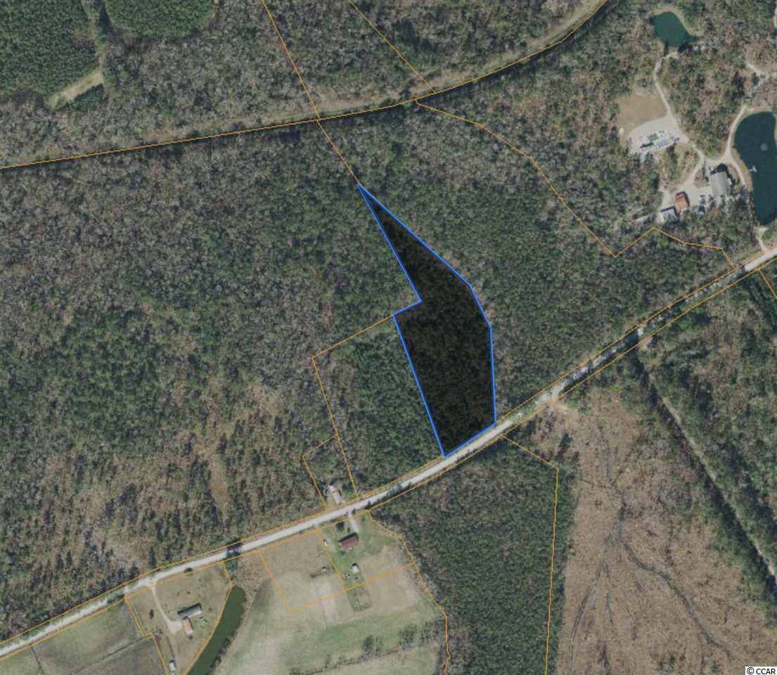 3 Tom Dorman Road Longs, SC 29568 - Photo 2 of 3 Gallery Image 2