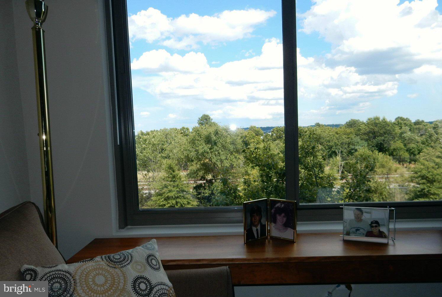 3650 South Glebe Road, Unit 352 Arlington, VA 22202 - Photo 3 of 19 View