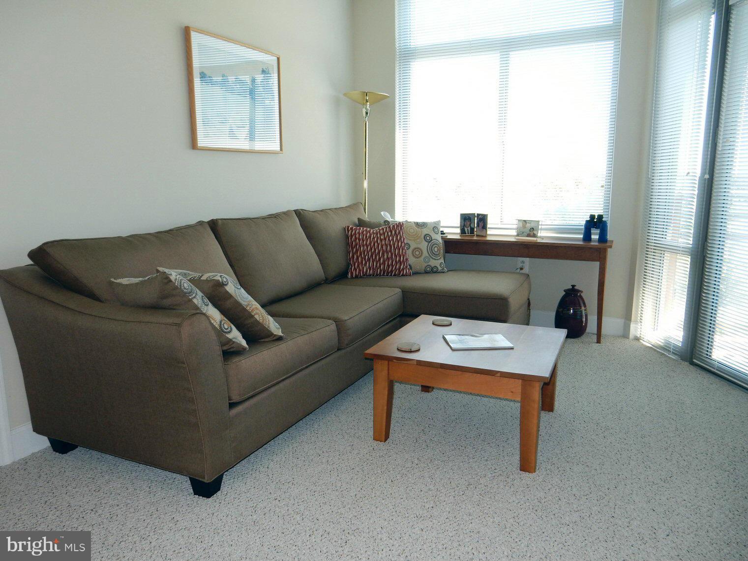 3650 South Glebe Road, Unit 352 Arlington, VA 22202 - Photo 4 of 19 Living Room