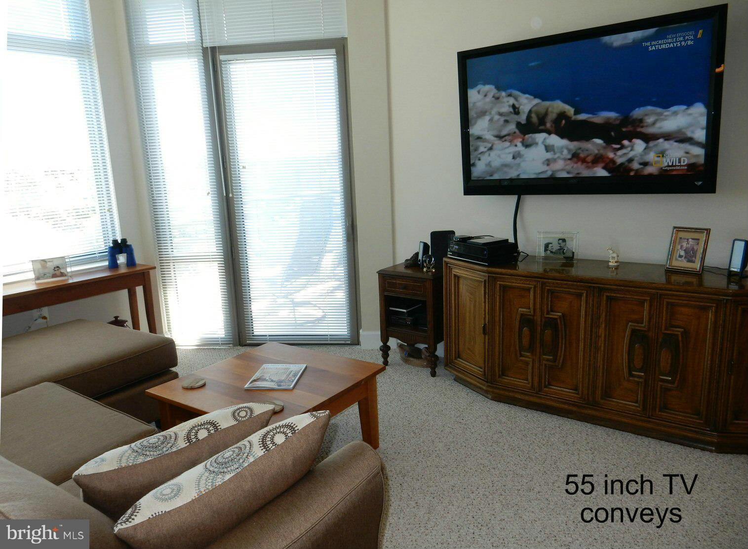 3650 South Glebe Road, Unit 352 Arlington, VA 22202 - Photo 5 of 19 Living Room