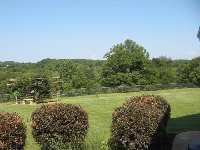 6971 Parris Bridge Road Chesnee, SC 29323 - Photo 22 of 24