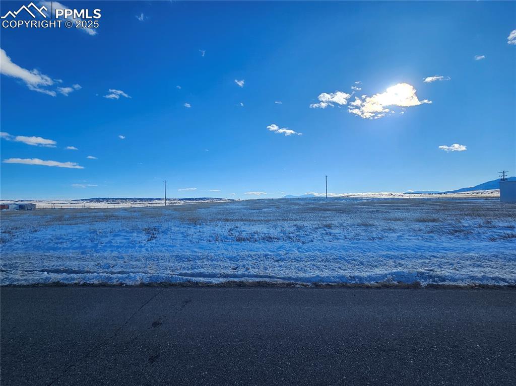 Tbd West Graneros Road Rye, CO 81069 - Photo 4 of 6 a view of a room with a large tree