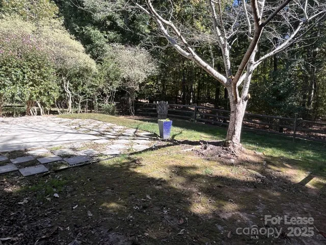 a view of a tree with yard