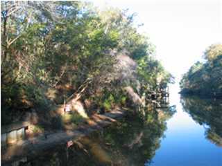 Lot 31 Ricker Avenue Santa Rosa Beach, FL 32459 - Photo 1 of 1 Primary Photo