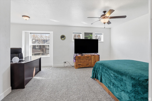 1024 South 270 West Logan, UT 84321 - Photo 14 of 37 Carpeted bedroom with a ceiling fan and a textured ceiling