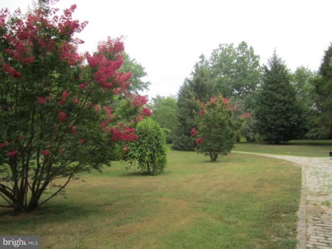 4815 Clermont Mill Road Pylesville, MD 21132 - Photo 23 of 25 front yard