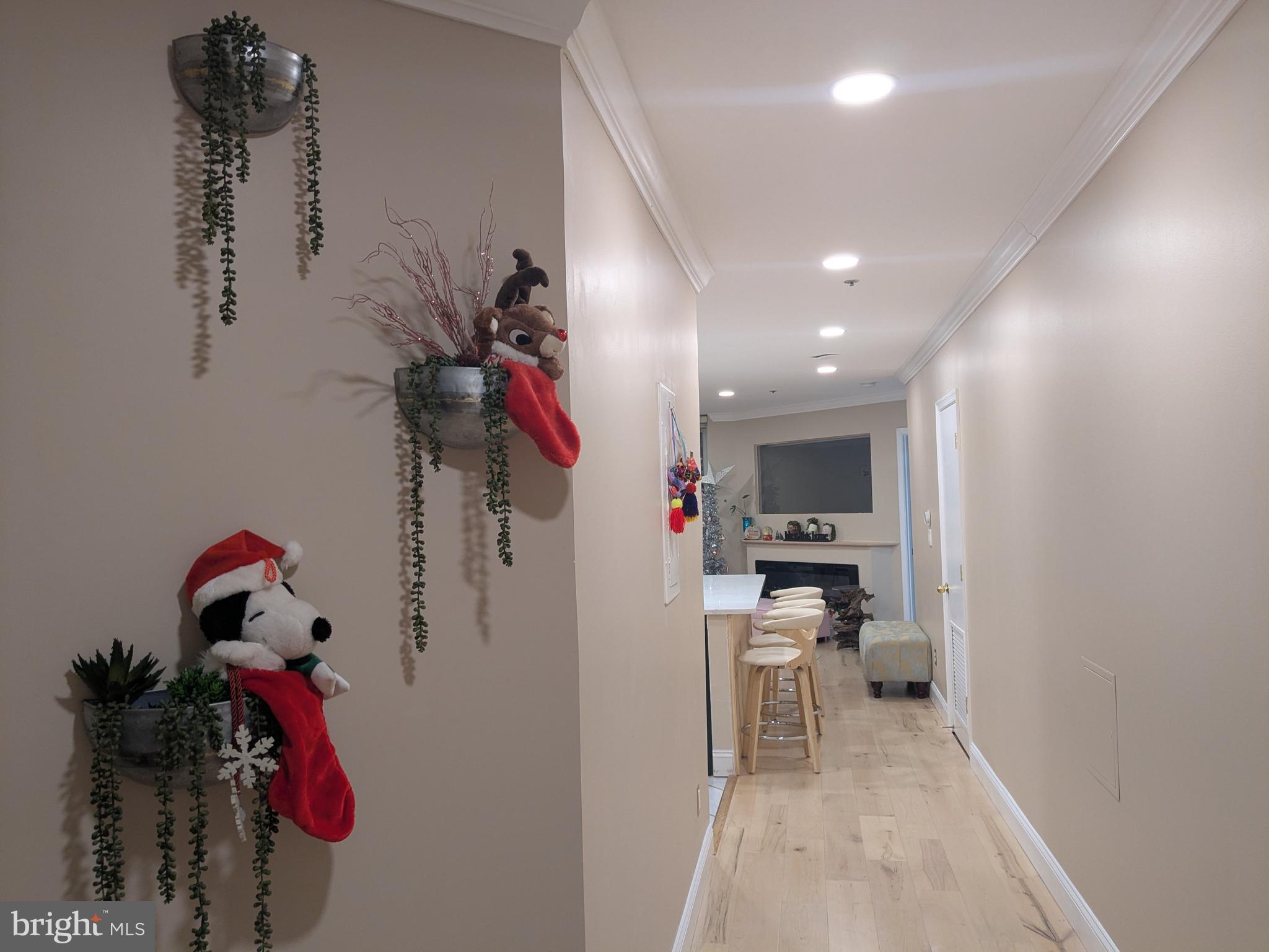 100 Harborview Drive, Unit 211 Baltimore, MD 21230 - Photo 15 of 25 a view of a hallway with closet and a potted plant