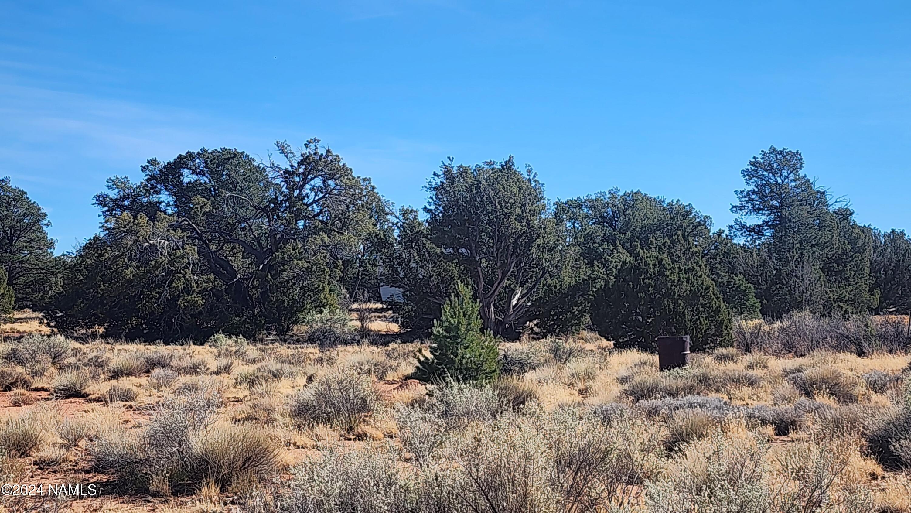 2091-2119 South Mountain View Road Williams, AZ 86046 - Photo 11 of 30 1000022318