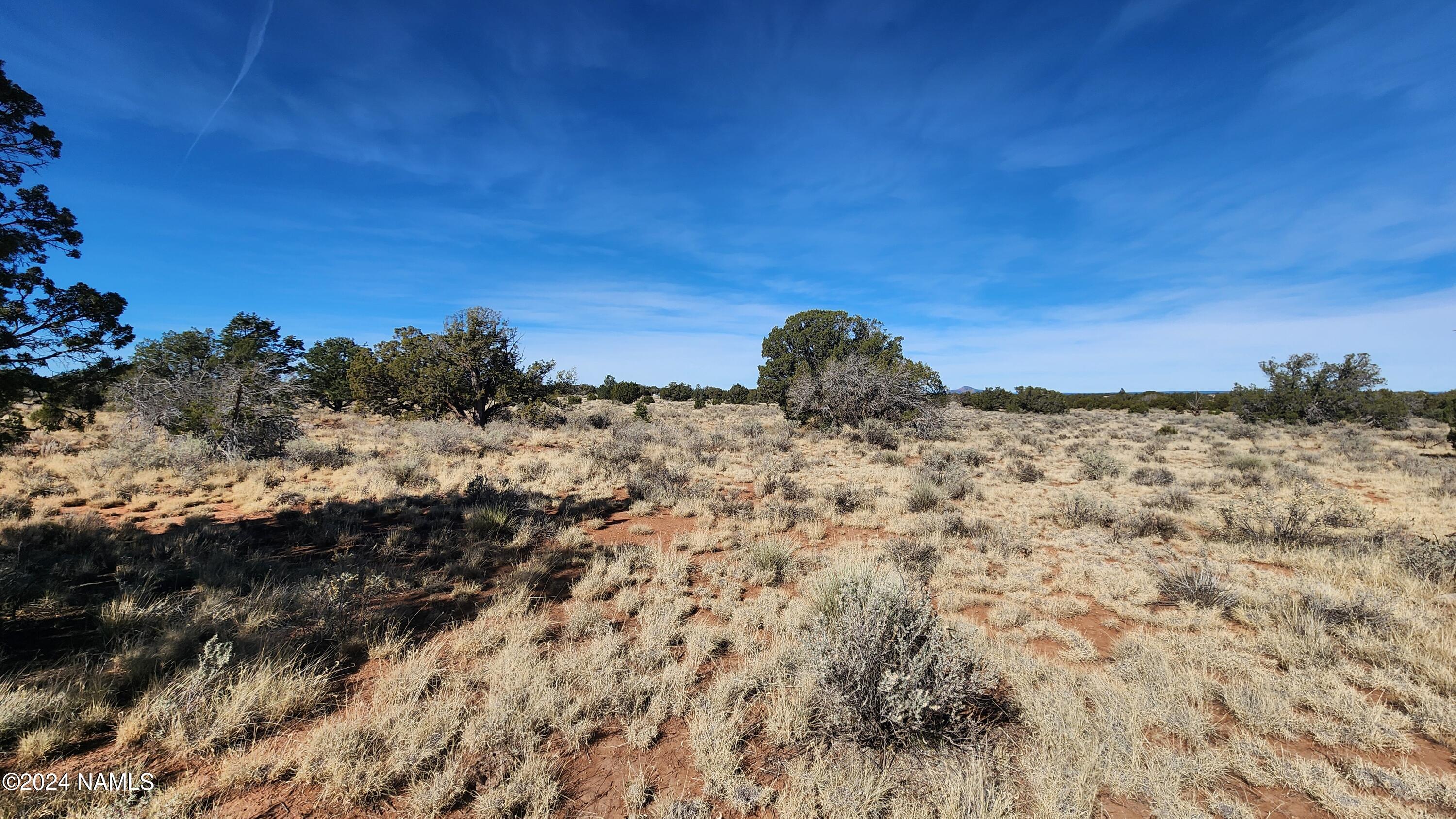 2091-2119 South Mountain View Road Williams, AZ 86046 - Photo 12 of 30 1000022319