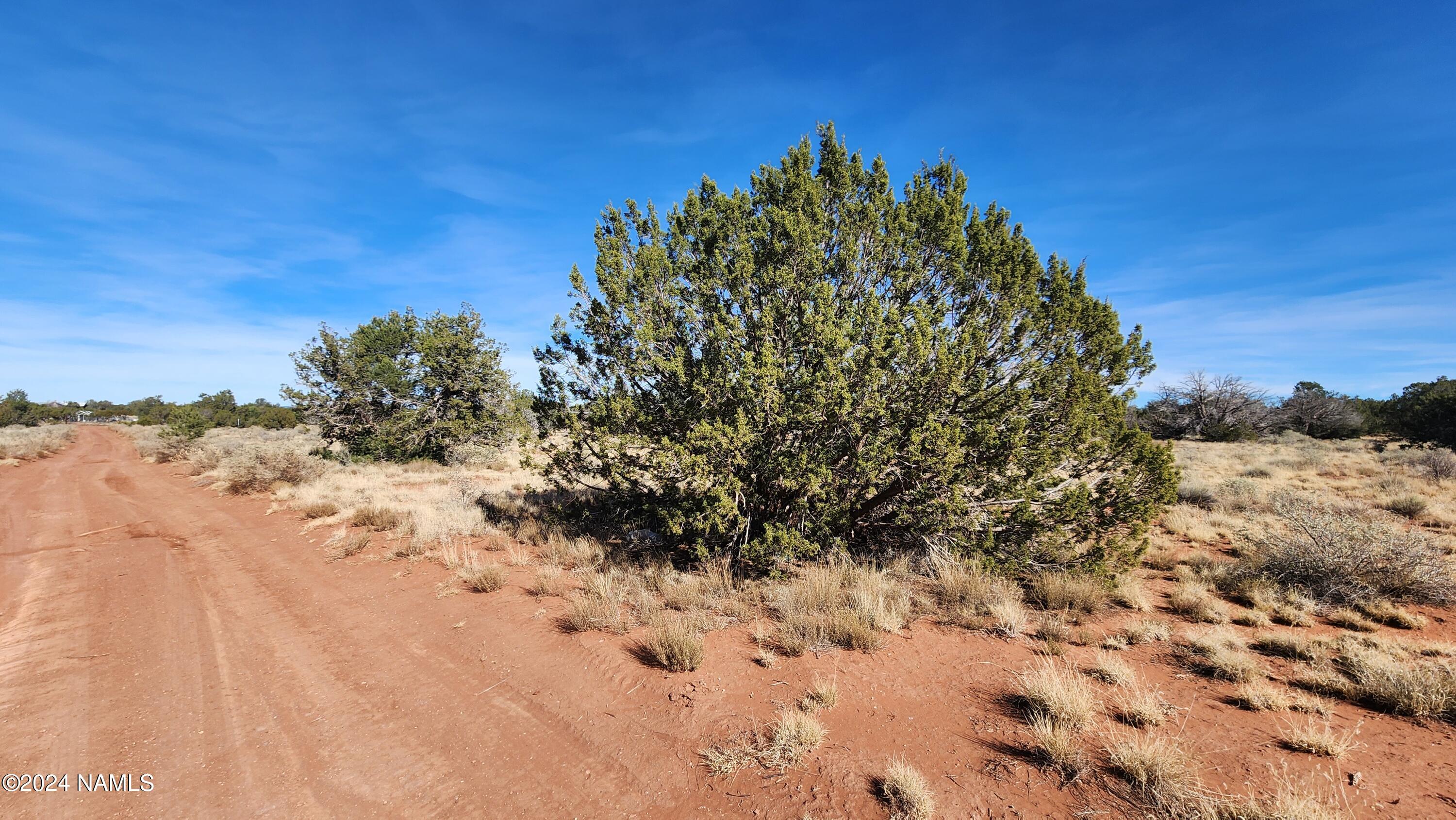 2091-2119 South Mountain View Road Williams, AZ 86046 - Photo 14 of 30 1000022322