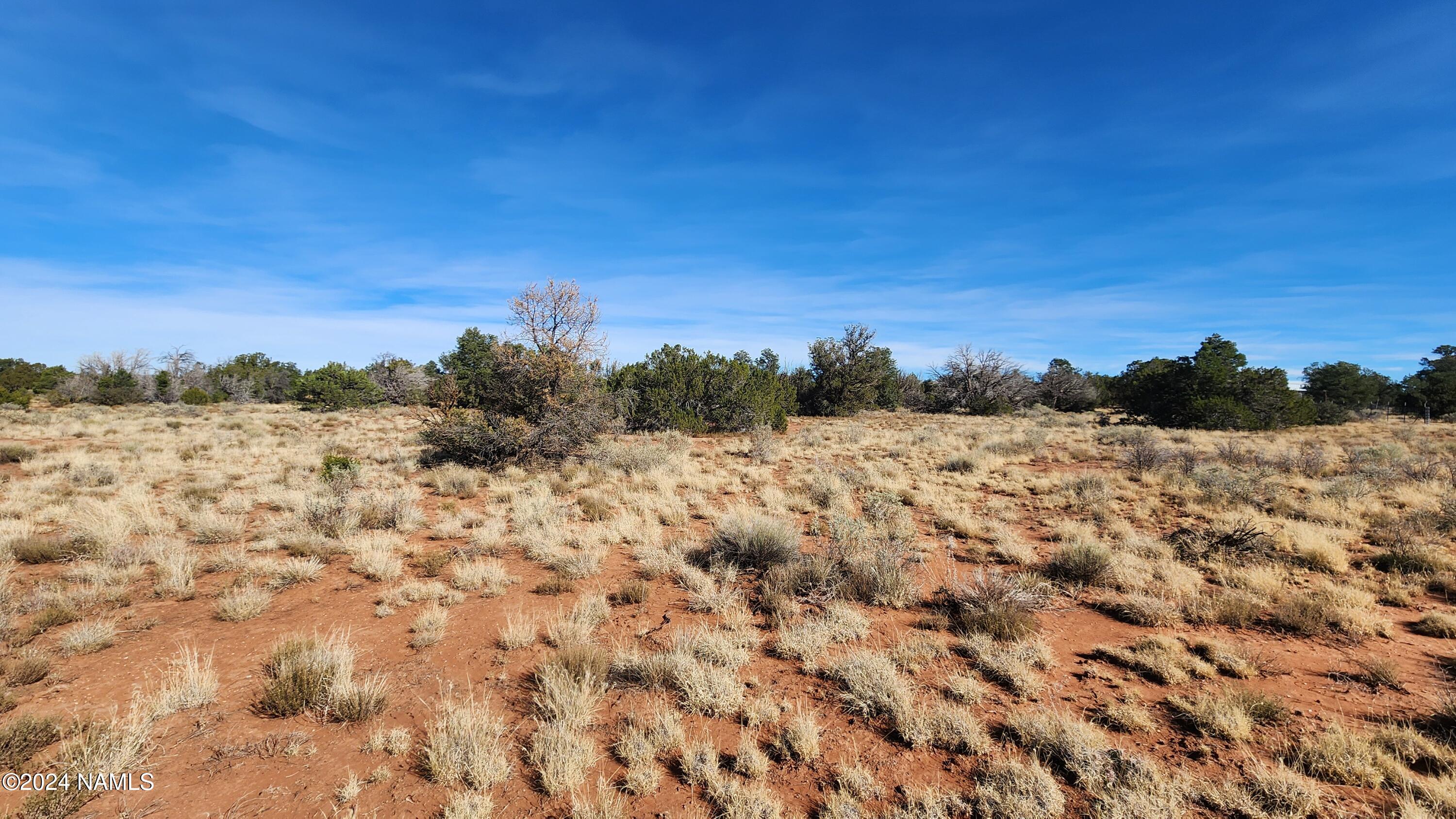 2091-2119 South Mountain View Road Williams, AZ 86046 - Photo 15 of 30 1000022323