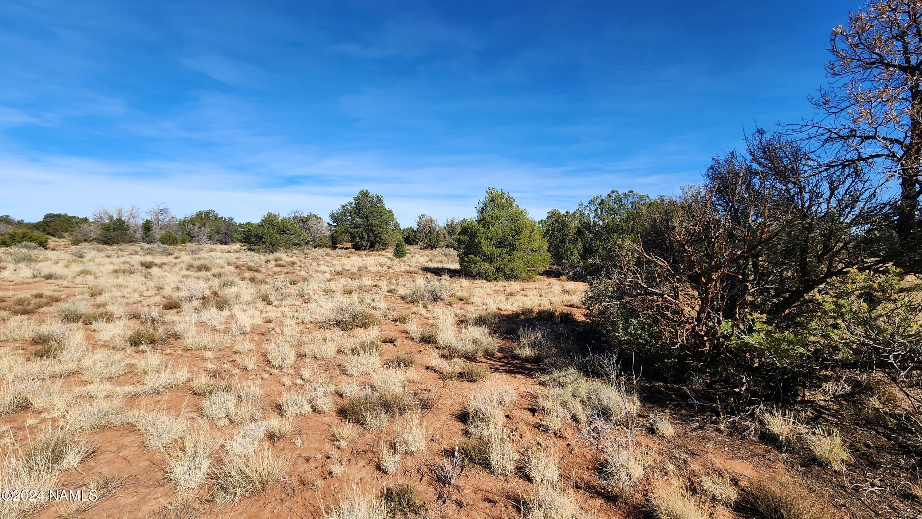 2091-2119 South Mountain View Road Williams, AZ 86046 - Photo 16 of 30 1000022324