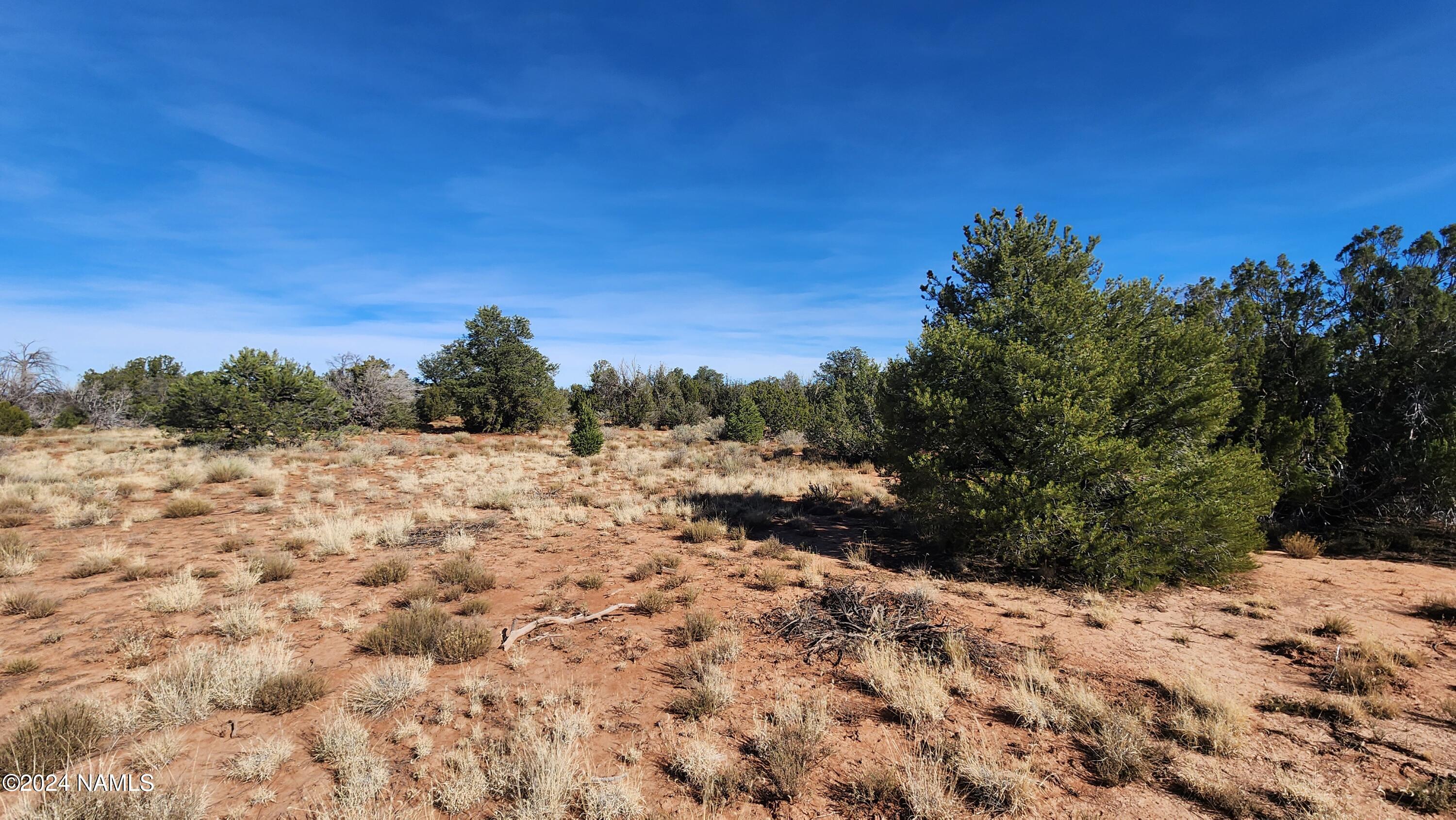 2091-2119 South Mountain View Road Williams, AZ 86046 - Photo 17 of 30 1000022325