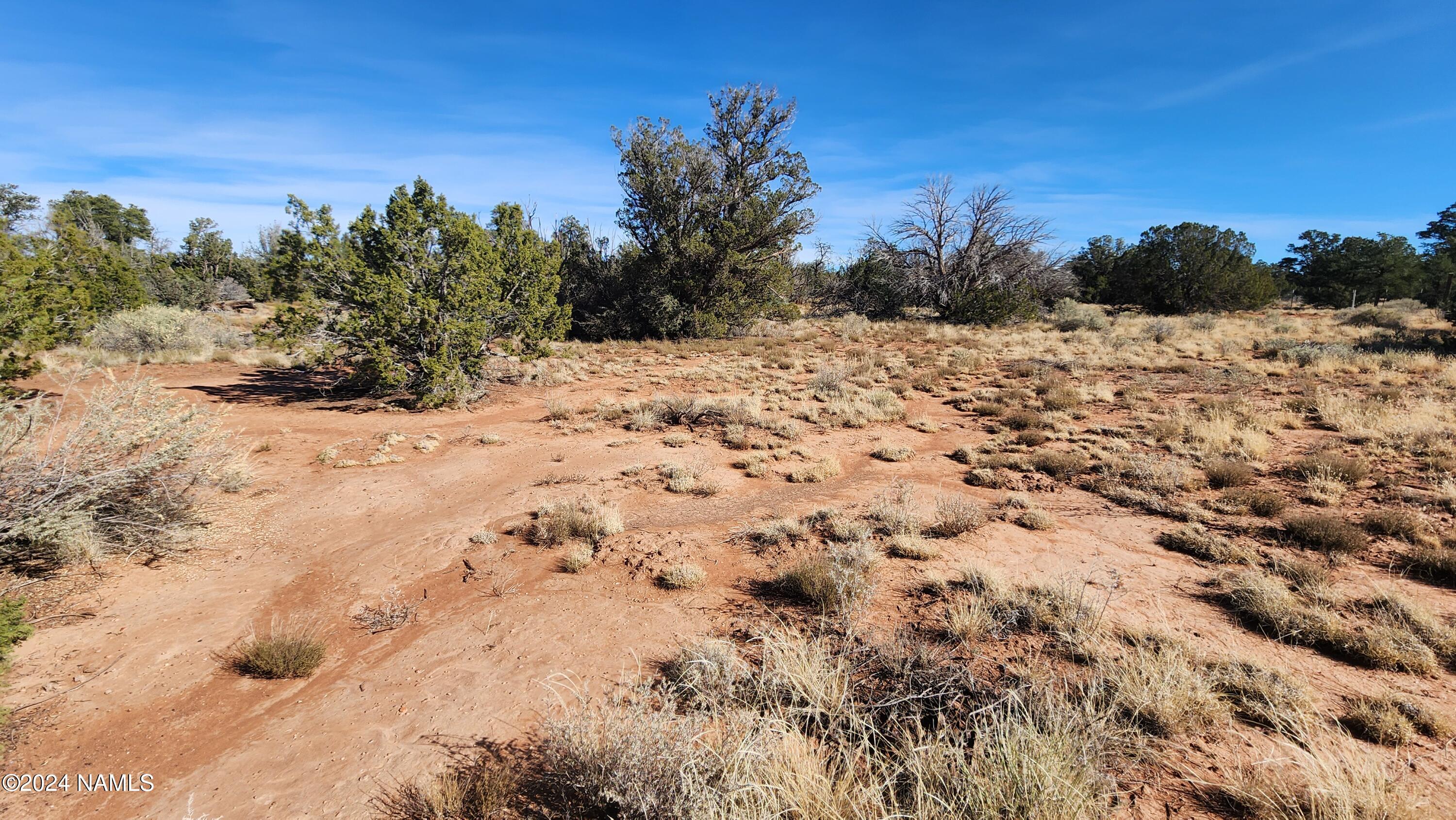 2091-2119 South Mountain View Road Williams, AZ 86046 - Photo 19 of 30 1000022329