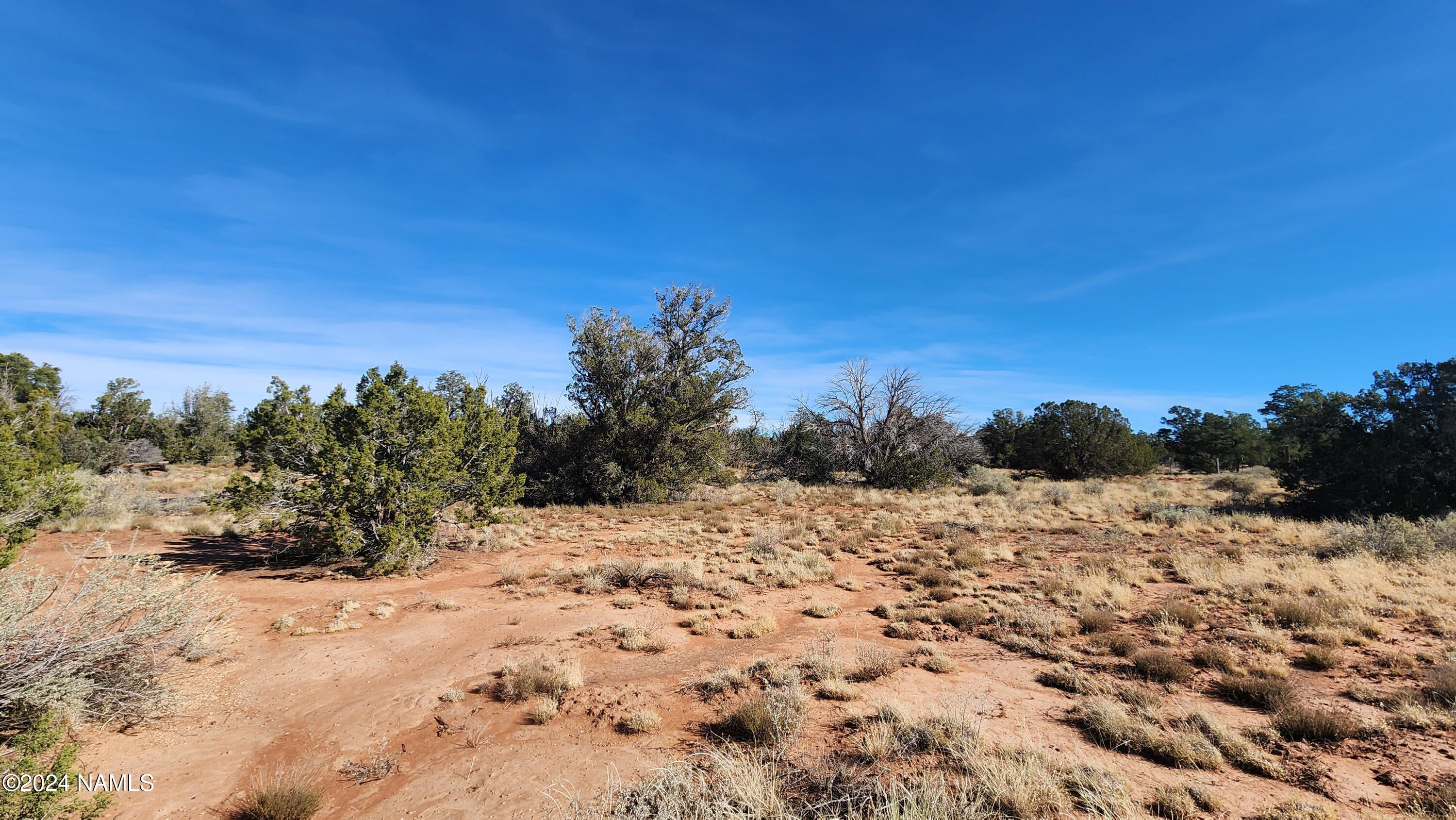 2091-2119 South Mountain View Road Williams, AZ 86046 - Photo 20 of 30 1000022327