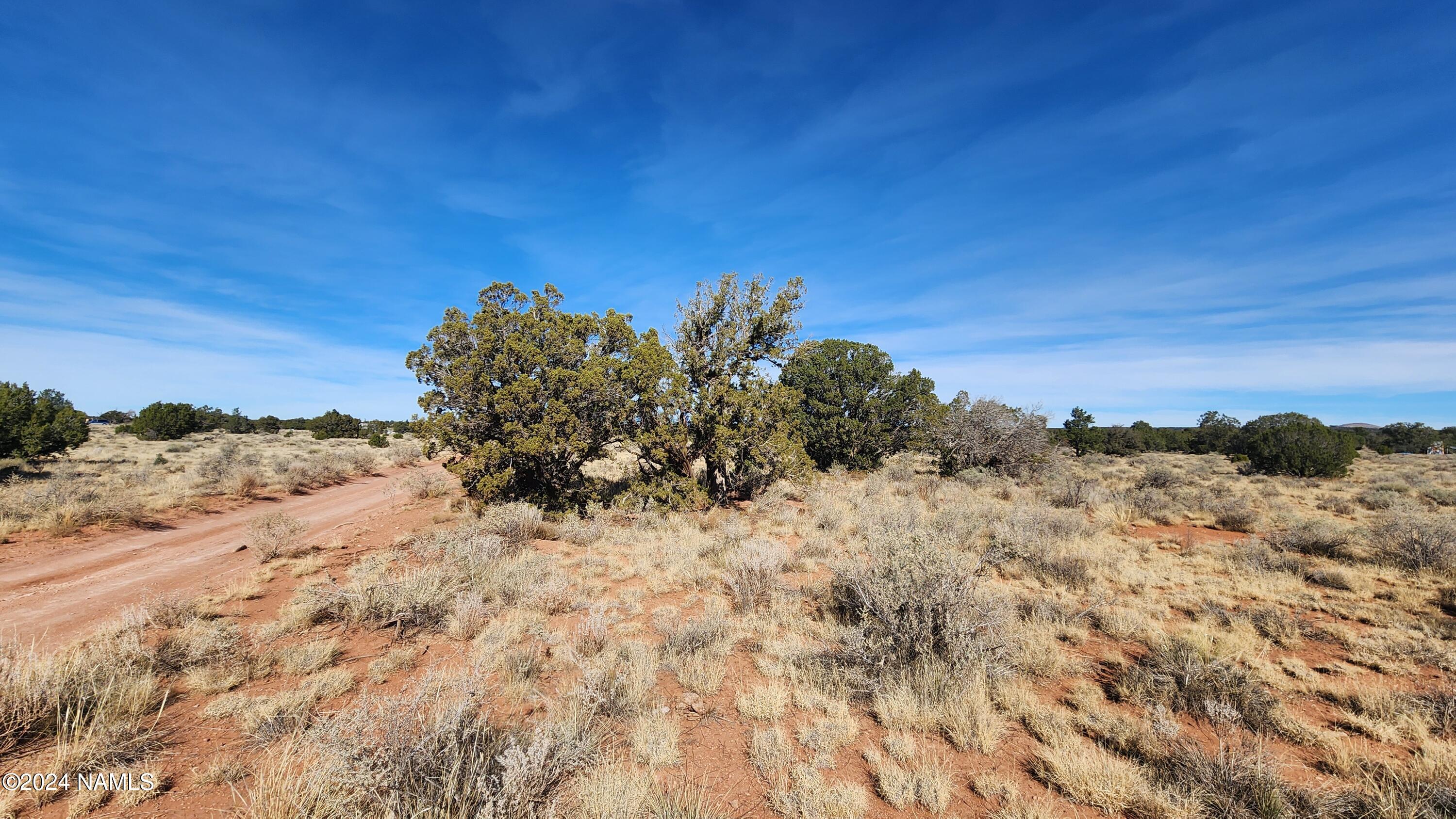 2091-2119 South Mountain View Road Williams, AZ 86046 - Photo 2 of 30 1000022309