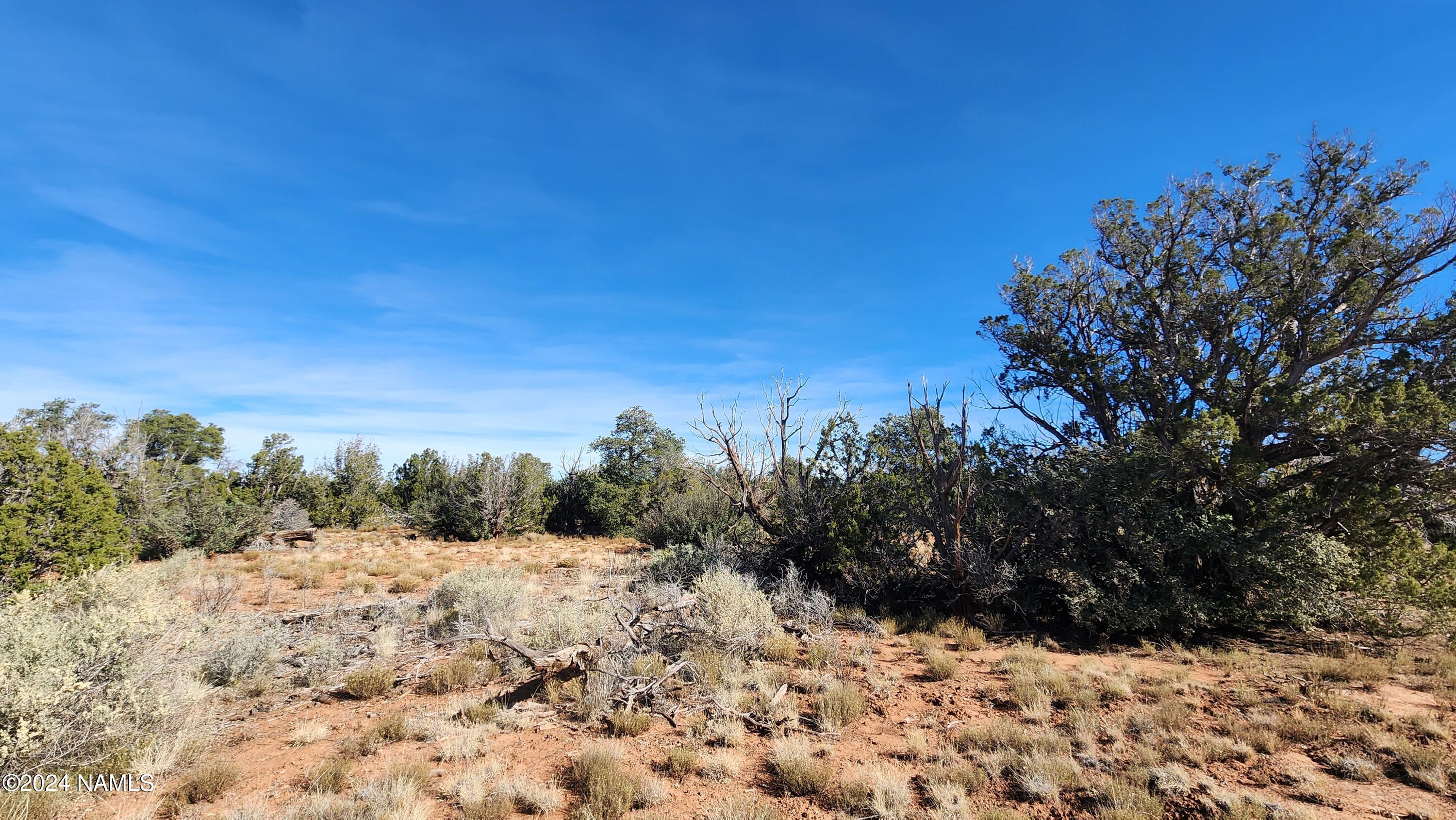 2091-2119 South Mountain View Road Williams, AZ 86046 - Photo 21 of 30 1000022330
