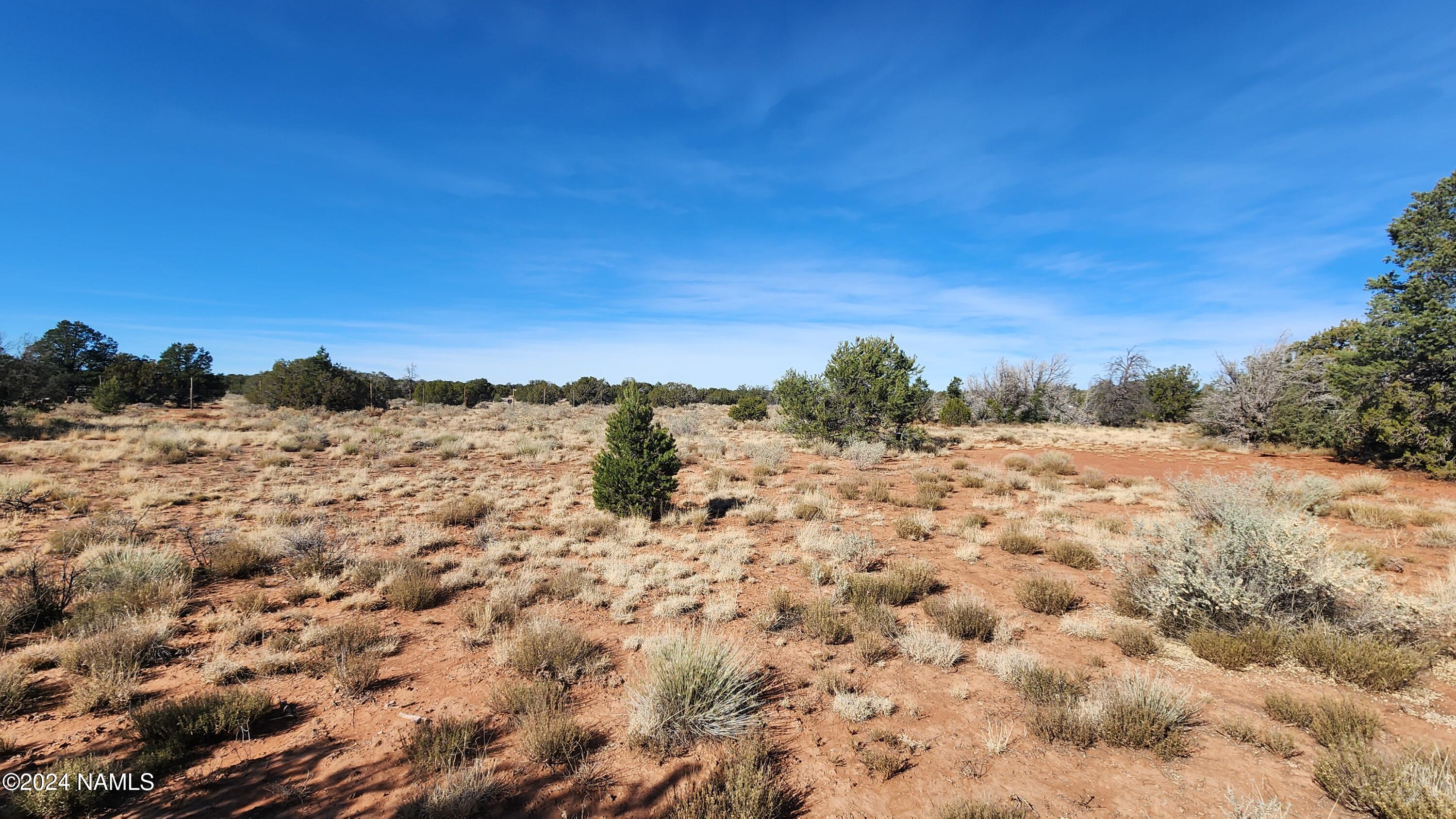 2091-2119 South Mountain View Road Williams, AZ 86046 - Photo 23 of 30 1000022332