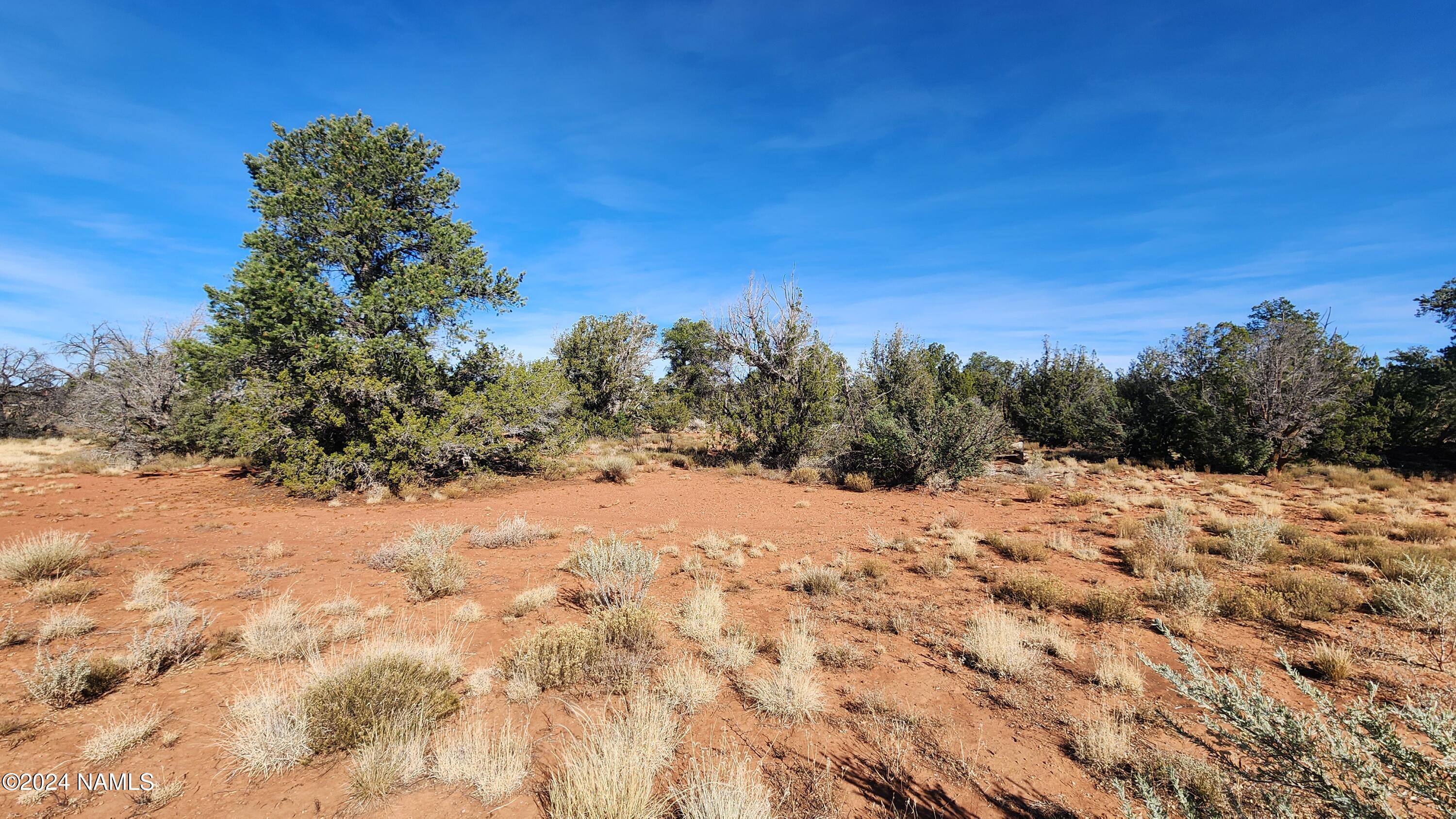 2091-2119 South Mountain View Road Williams, AZ 86046 - Photo 25 of 30 1000022334