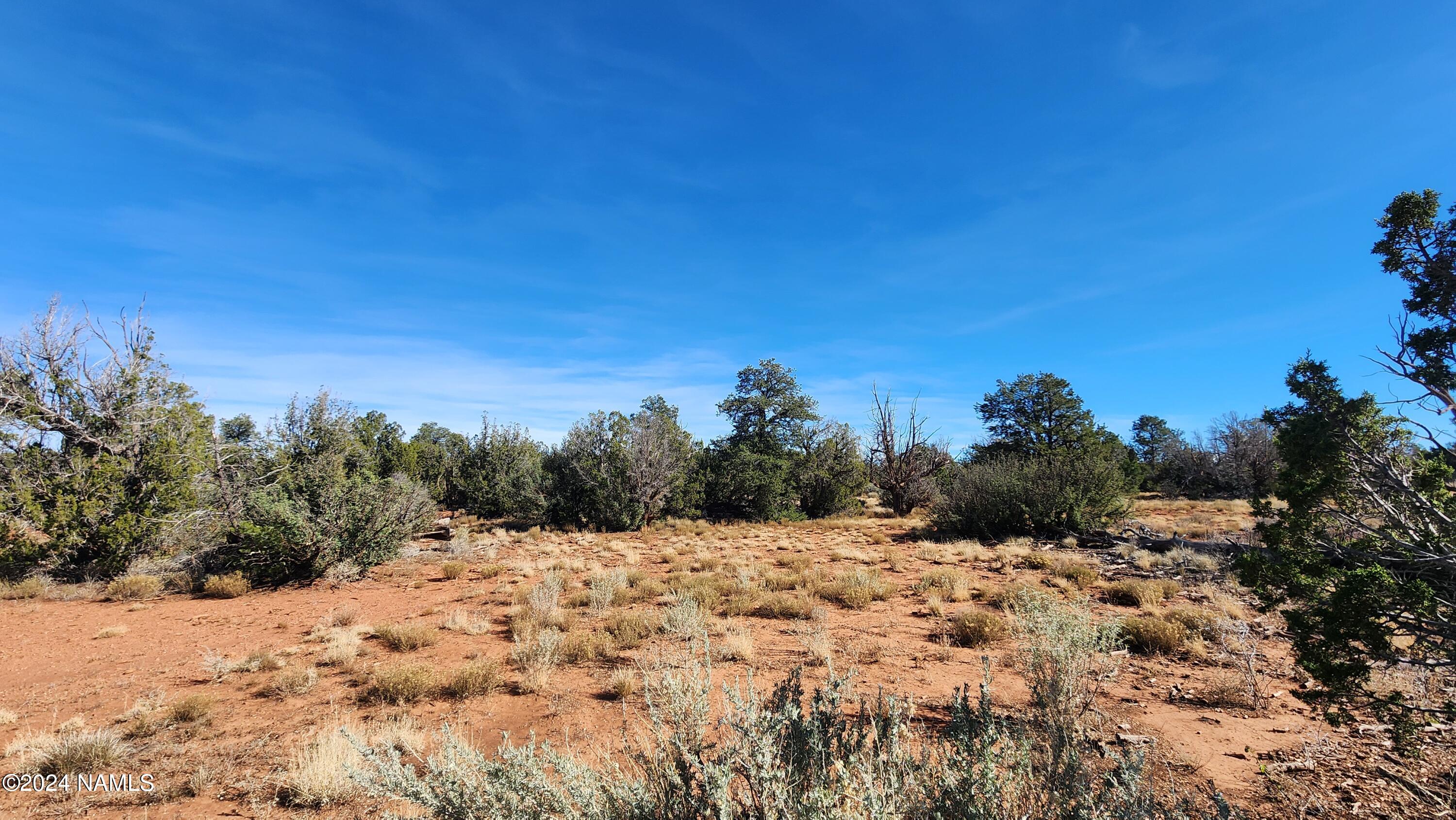 2091-2119 South Mountain View Road Williams, AZ 86046 - Photo 26 of 30 1000022333