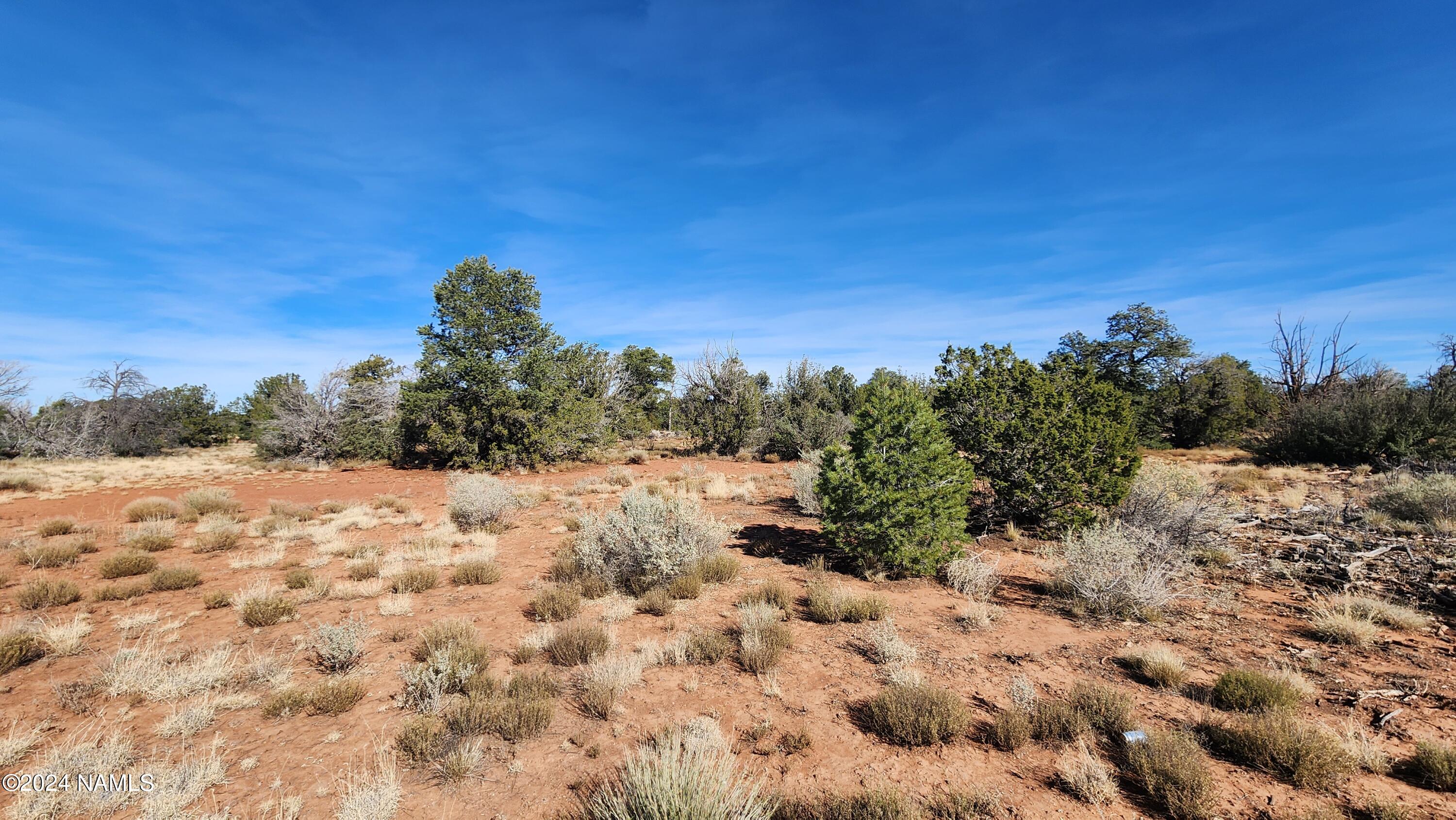 2091-2119 South Mountain View Road Williams, AZ 86046 - Photo 28 of 30 1000022337